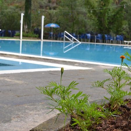 ホテル Balneario De Tus ジェステ エクステリア 写真
